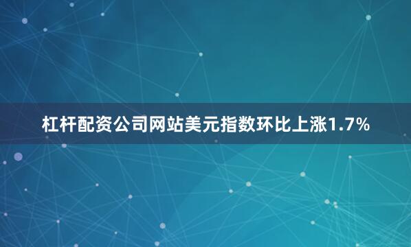 杠杆配资公司网站美元指数环比上涨1.7%