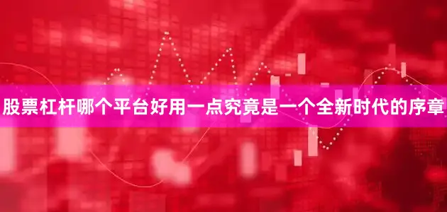 股票杠杆哪个平台好用一点究竟是一个全新时代的序章