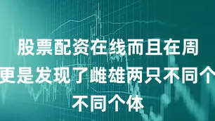 股票配资在线而且在周至更是发现了雌雄两只不同个体